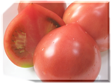 ���l�b�T���X�g�}�g